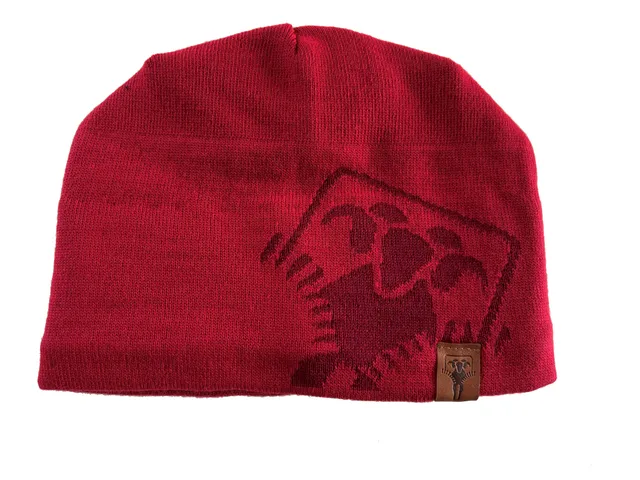 gr-ezi-bag-merino-beanie-merinowoll-m-tze-mit-fleece-innenband image 1